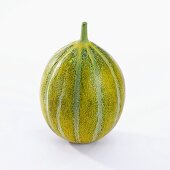 Musk melon (cucumis melo)