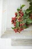 A spring of blackberries on a stone table