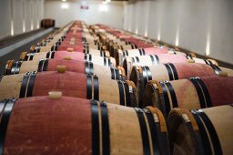 Two rows of barrique wooden barrels in a wine cellar (France)