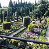 English gardens with flower beds and topiary cypress trees
