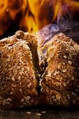 Dampfendes Vollkornbrot, auseinandergebrochen, vor Feuer