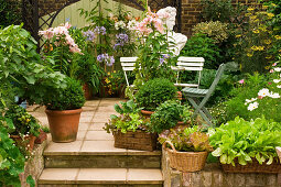 Kübelpflanzen - Blumen, Gemüse - auf einer Terrasse
