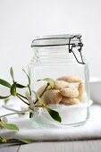 Sugar and vanilla biscuits in a flip top jar with a sprig mistletoe in front of it
