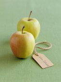 Two Golden Delicious apples with a label