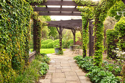 Berankte Pergola über Gartenweg und Terrasse