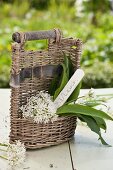 A basket filled with blooming wild garlic