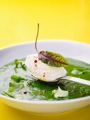 Herb soup with goat cheese dumplings