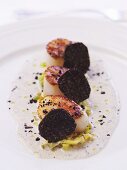 Fried scallops with black truffles
