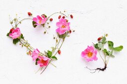 Heart of dog roses and strawberries