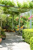 Climber-covered pergola on terrace with seating area in front of flowering rose bushes
