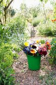 Green pail with colorful cut flowers and watering can in the background on a garden path between summer shrubs