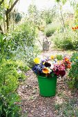 Grüner Eimer mit bunten Schnittblumen und Giesskanne im Hintergrund auf einem Gartenweg zwischen Sommerstauden