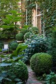 Urban garden with box balls in beds and pots