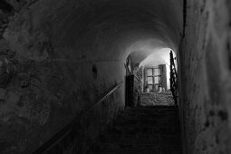 Cellar stairs with vaulted ceiling