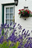 Entrance to a country house