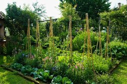 Üppiges Gemüsebeet und zusammengebundene Pflanzstäbe im Garten