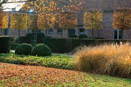 Garden with topiary trees and hedges in front of house with brick facade