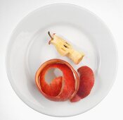 An apple core and apple peel on a plate