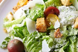 Romaine Lettuce Salad with Tomatoes, Croutons and Parmesan Cheese