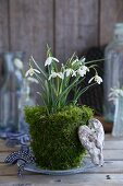 Snowdrops wrapped in moss on a plate and decorative objects
