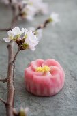 Mochi (Reiskuchen, Japan) mit Kirschblütenzweig