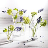 Little spring posies in small glass vases