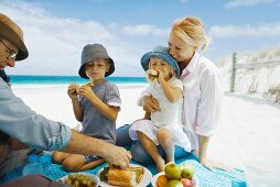 Family having picnic on beach