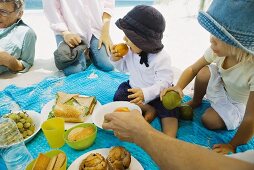 Familie beim Strandpicknick