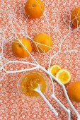 Marmalade, a white twig and oranges
