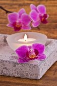 Square stone dish holding lit tea light and orchid flower