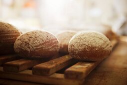 Bread rolls on a wooden rack