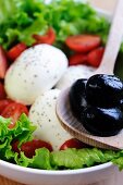 Mozzarella with tomatoes, lettuce and olives