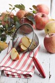 Whole apples and apple wedges in a sieve
