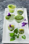 Green power drinks with wild herbs