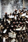 Bottles maturing in the cellar of Fattoria Selvapiana