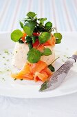Salmon mousse with watercress