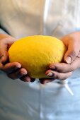 A chef holding a ball of pasta dough