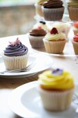 A cupcake decorated with a butterfly with other cupcakes in the background