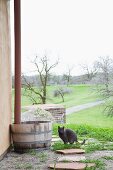 Katze vor Regentonne mit Regenfallrohr vor Haus und Blick in die Landschaft