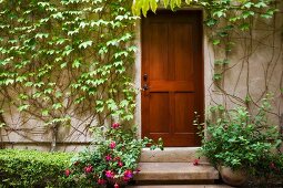 Detail of wooden door next to wall with ivy.