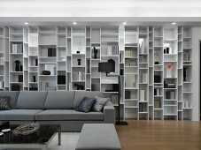 Modern living room with wall length bookcase