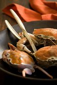 Edible crabs in a bowl