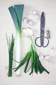 Chives, leek, spring onions and garlic