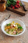 Salat mit Fenchel, Radieschen & Orangen