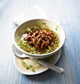 Chanterelle mushroom stew with bacon, thyme and shallots