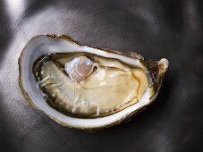A raw oyster (Florent tarbouriech rose speciale)