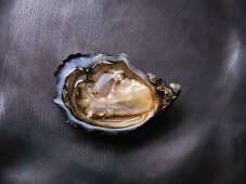 A pousses en claire oyster