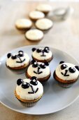 Kokos-Cupcakes mit Panda-Gesichtern