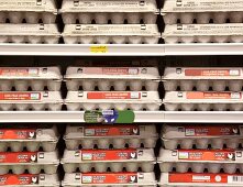 Rows of Egg Cartons on Display