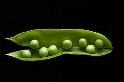 Organic Green Pea Pod Split Open